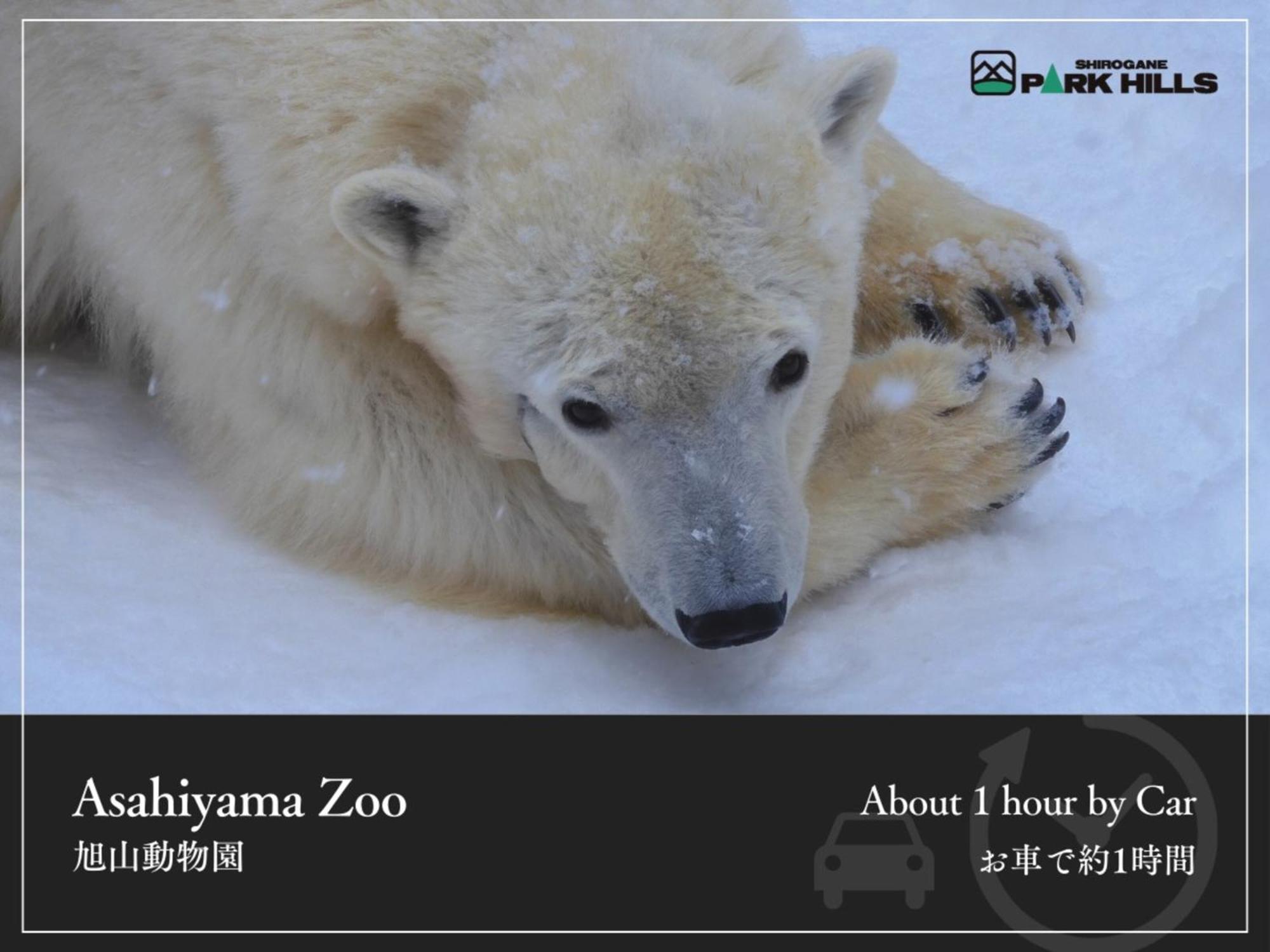 Biei Shirogane Onsen Hotel Park Hills Екстериор снимка