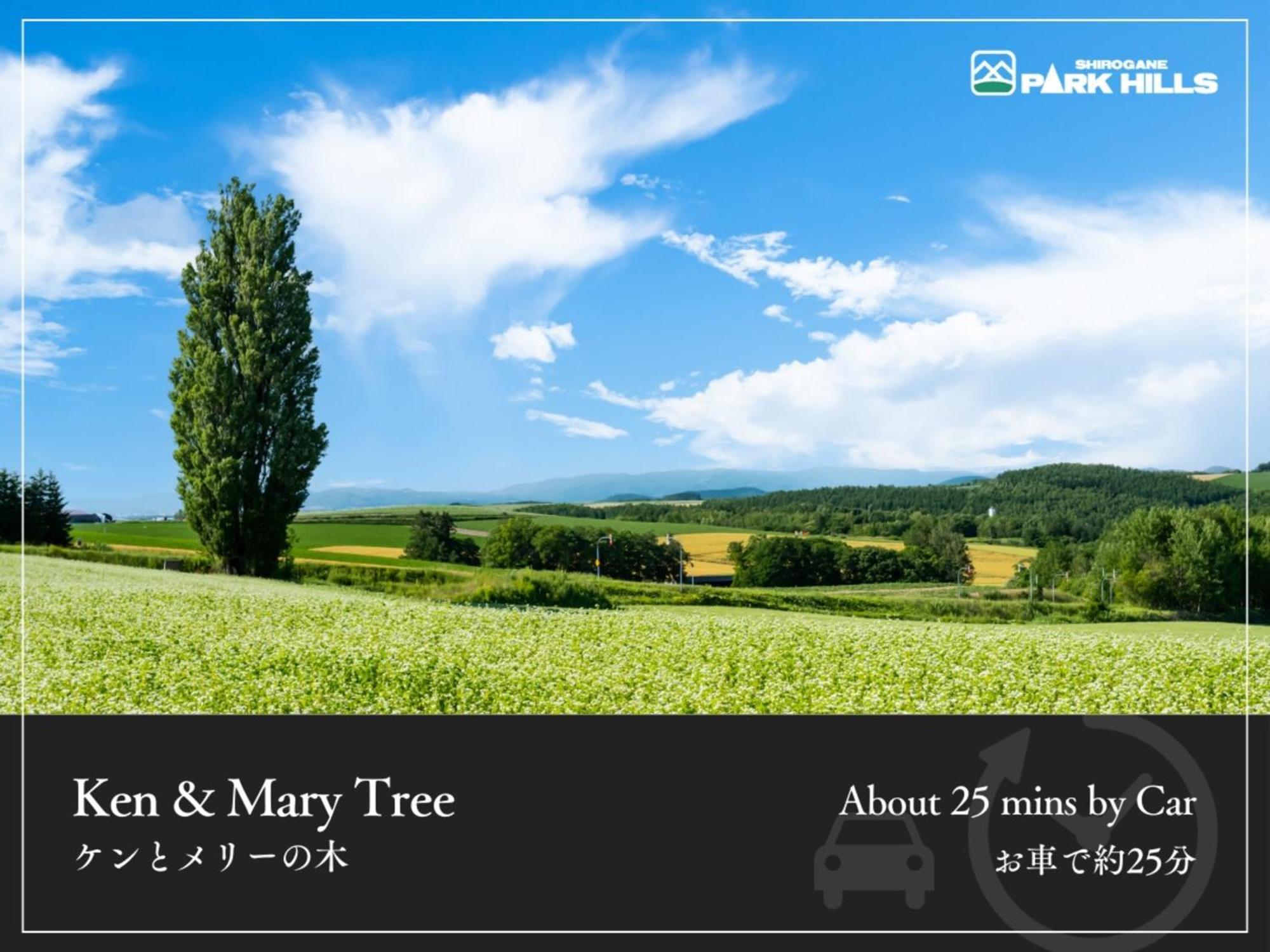 Biei Shirogane Onsen Hotel Park Hills Екстериор снимка